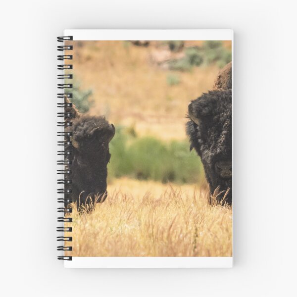 Item preview, 2 Bison - Antelope Island, UT designed and sold by Jake Waller.