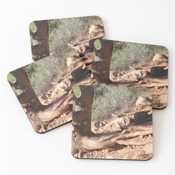 Item preview, Tree trunk designed and sold by zumi.