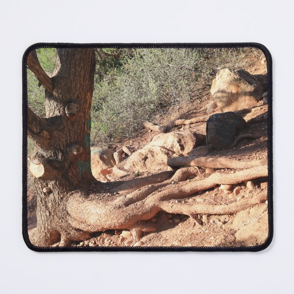Item preview, Tree trunk designed and sold by zumi.