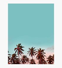 Lámina fotográfica California