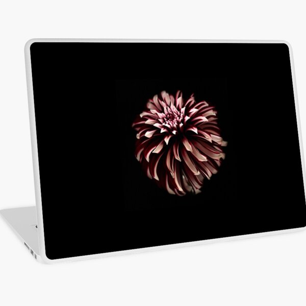 Black Dahlia Laptop Skin