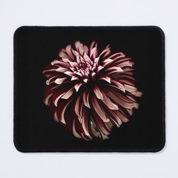 Item preview, Black Dahlia designed and sold by Sarah Curtiss.