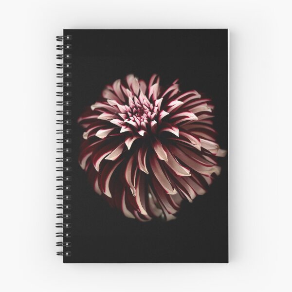 Item preview, Black Dahlia designed and sold by Sarah Curtiss.