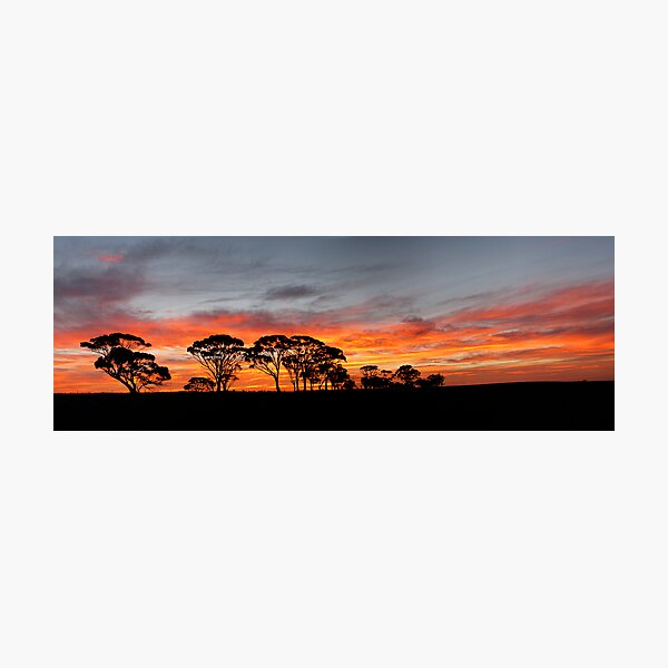 Item preview, Farm Land Sunrise designed and sold by Peter Hodgson.