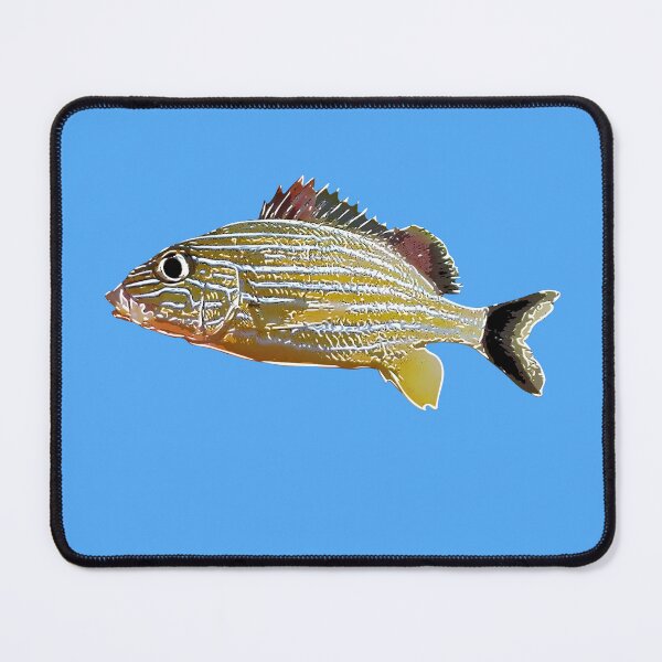 Item preview, A Blue Striped Grunt White Alternate Design  designed and sold by designsasstultd.