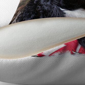 Alternate view of Dude Throw Pillow