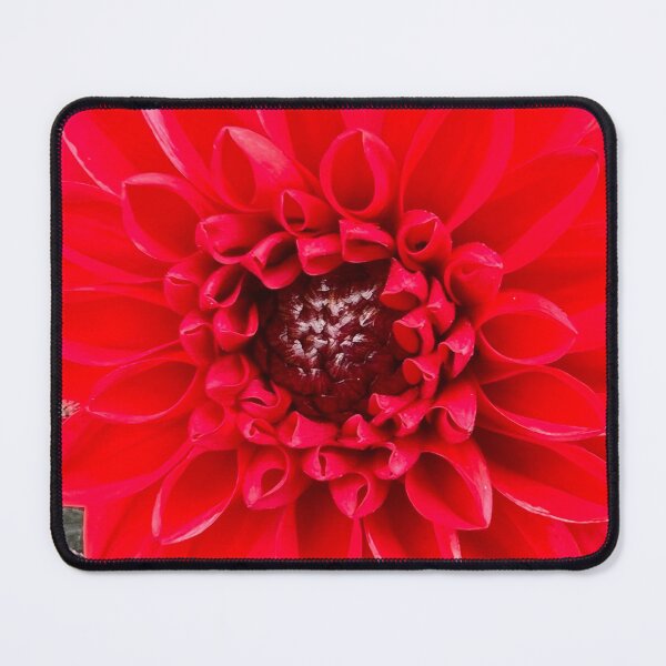 Item preview, Vibrant Red Dahlia Symmetry and Balance designed and sold by Photomersion.