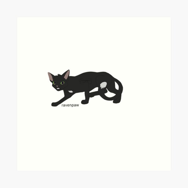 Ravenpaw SilverCloud25 - Illustrations ART street