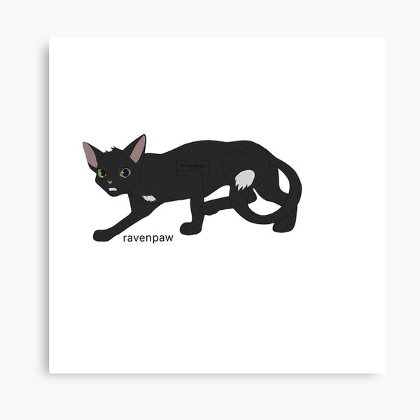 Warrior Cat Designs — Ravenpaw