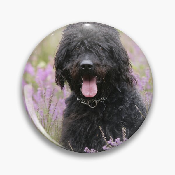 Item preview, Black Labradoodle Sitting in a field of purple flowers designed and sold by ScienceSource.