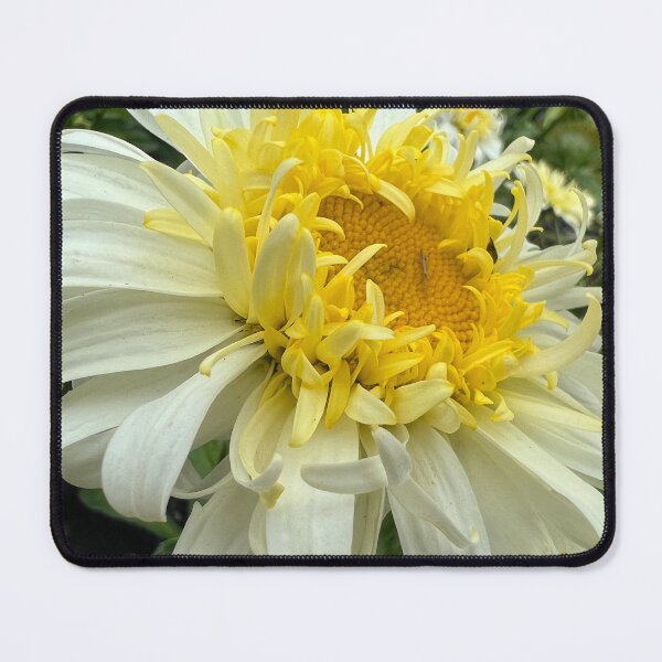 Item preview, Dahlia Abundant Joy designed and sold by Photomersion.