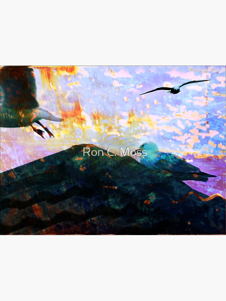 City Gulls by ronmoss