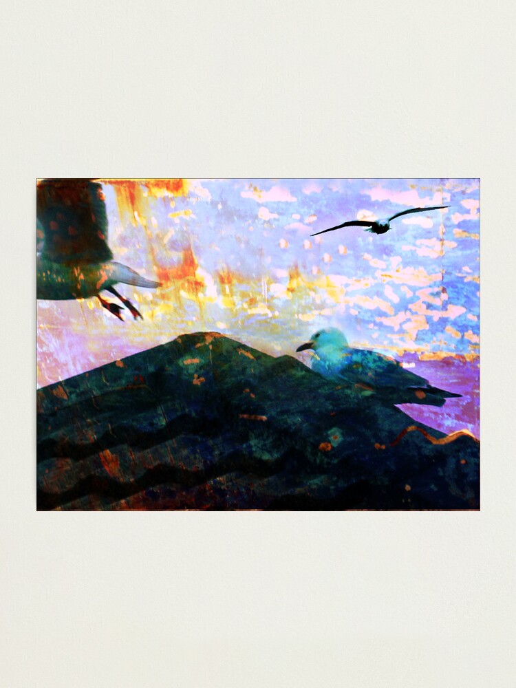 Alternate view of City Gulls Photographic Print