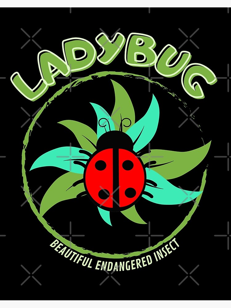 ladybug - Kids, Britannica Kids