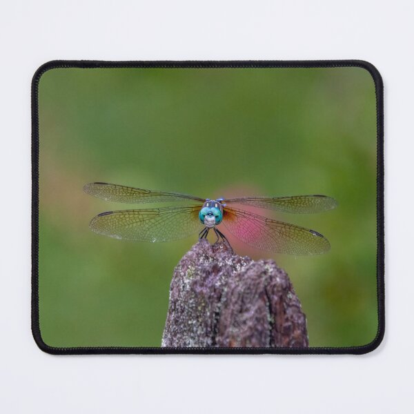 Item preview, Smiling Dragonfly with Big Blue Eyes and Lacy Wings designed and sold by SafariByMarisa.