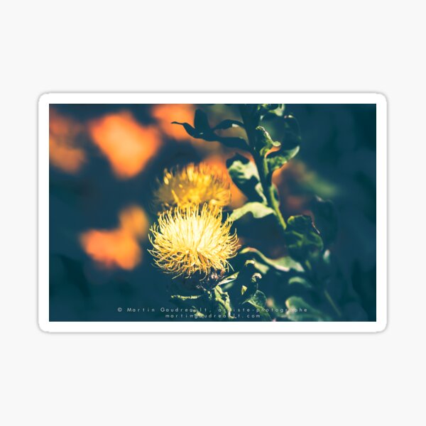 Fleurs d'été Sticker