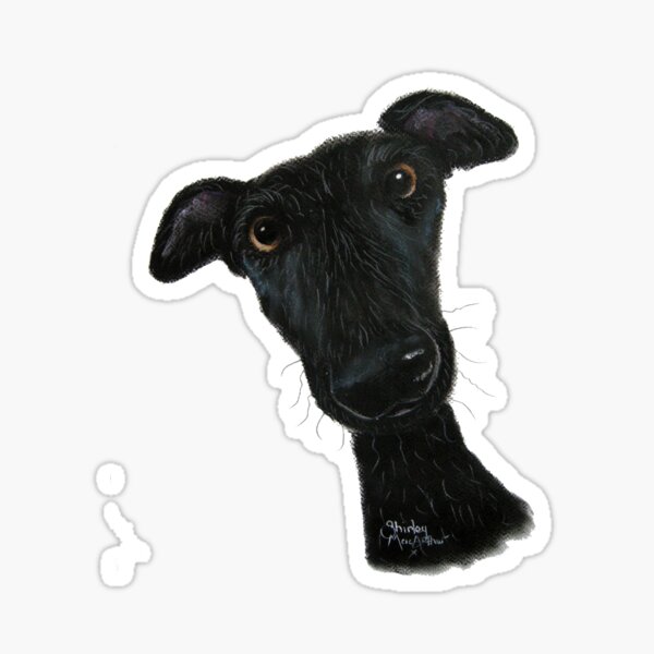 Item preview, Whippet Greyhound Dog PRiNT 'Hank' by Shirley MacArthur designed and sold by Shirley MacArthur Limited.