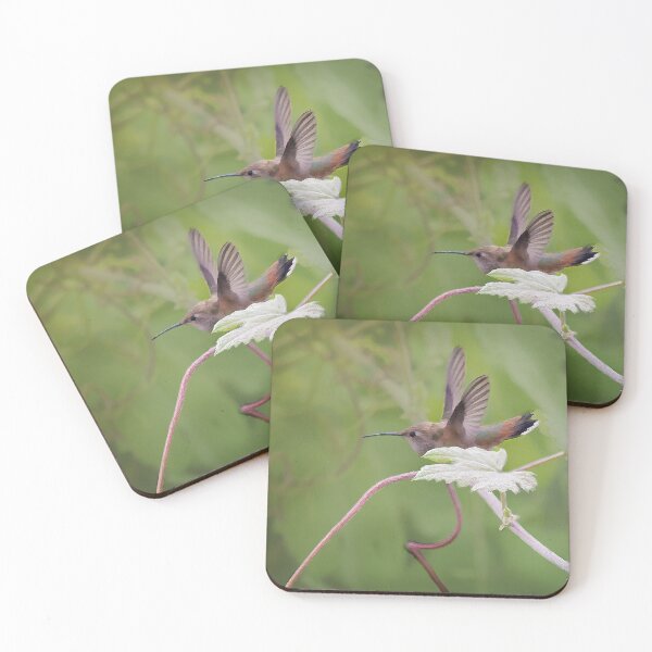 Item preview, Hummingbird In The Grapevine designed and sold by CarolM.