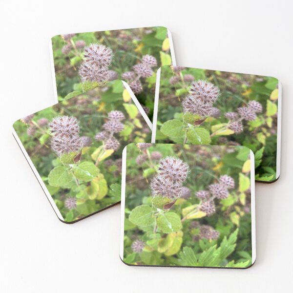 Item preview, Wild Basil designed and sold by SawyerSebastian.