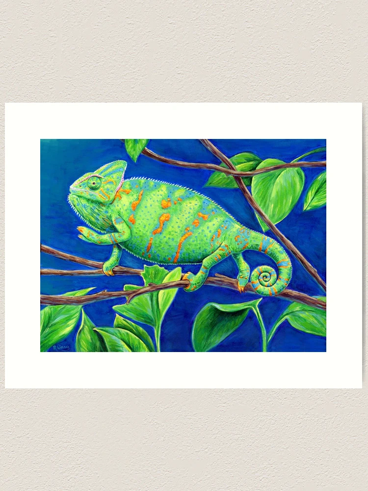 Designer Veiled Chameleon for sale