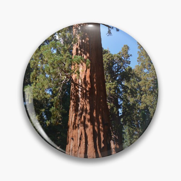 Item preview, Giant Sequoia, Southern California, USA. Nature photograpgy. designed and sold by naturematters.