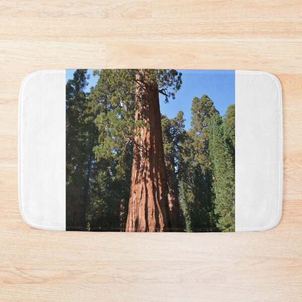 Item preview, Giant Sequoia, Southern California, USA. Nature photograpgy. designed and sold by naturematters.