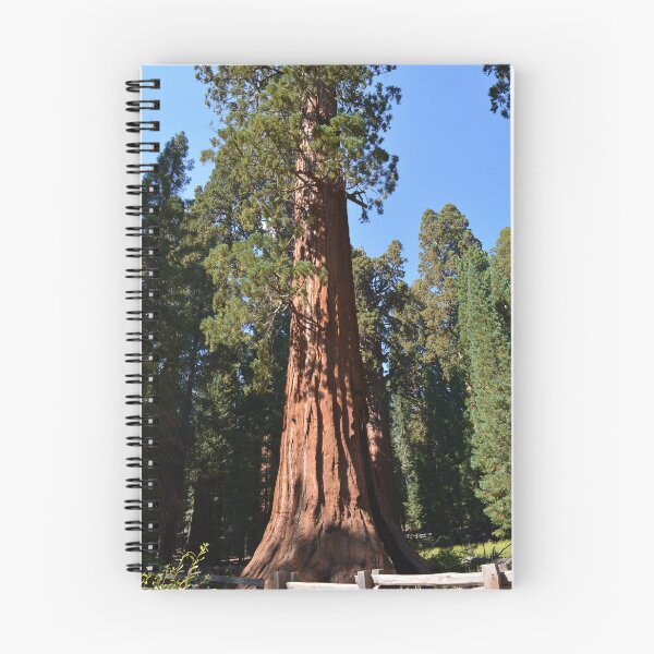 Item preview, Giant Sequoia, Southern California, USA. Nature photograpgy. designed and sold by naturematters.