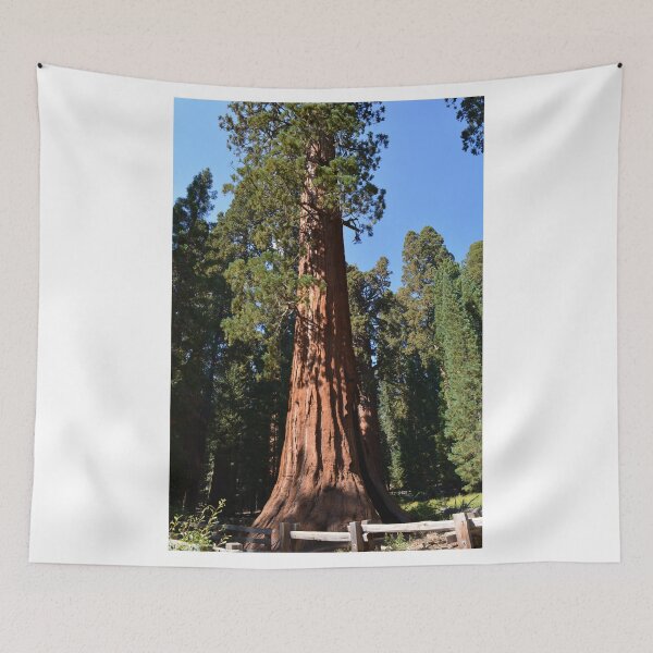 Item preview, Giant Sequoia, Southern California, USA. Nature photograpgy. designed and sold by naturematters.