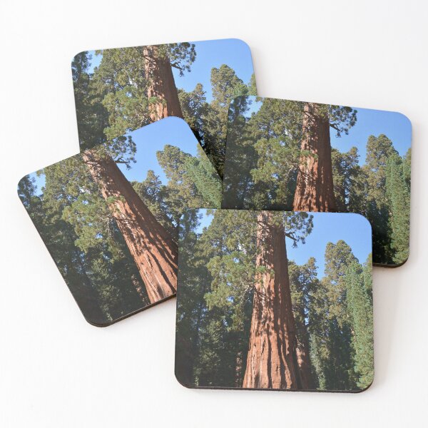 Item preview, Giant Sequoia, Southern California, USA. Nature photograpgy. designed and sold by naturematters.