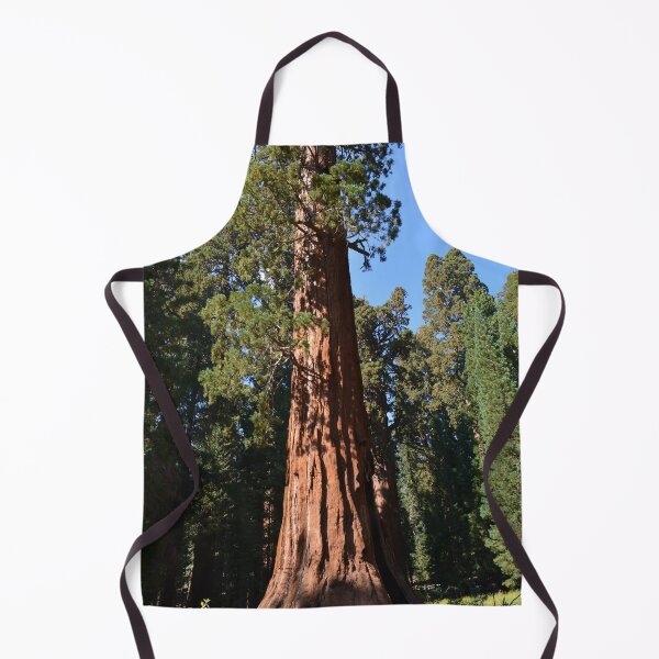Item preview, Giant Sequoia, Southern California, USA. Nature photograpgy. designed and sold by naturematters.