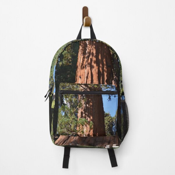 Item preview, Giant Sequoia, Southern California, USA. Nature photograpgy. designed and sold by naturematters.