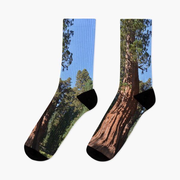 Item preview, Giant Sequoia, Southern California, USA. Nature photograpgy. designed and sold by naturematters.