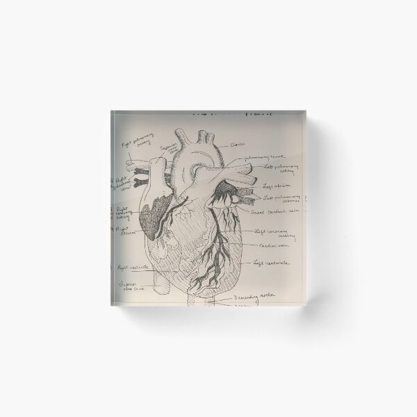 Item preview, The Human Heart designed and sold by ArtbyEhrlich.