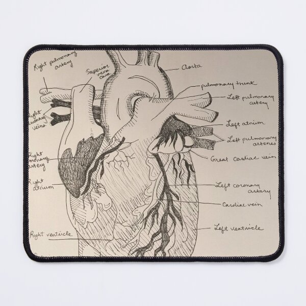 Item preview, The Human Heart designed and sold by ArtbyEhrlich.