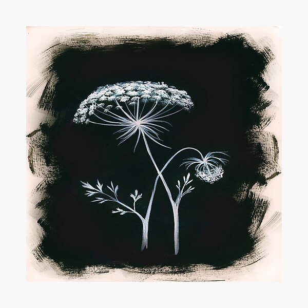 Item preview, Queen Ann's Lace designed and sold by mlcreates64.