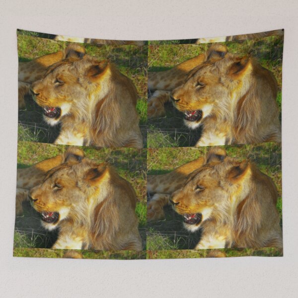 Item preview, Lion, Zambezi National Park, Zimbabwe designed and sold by vadim19.