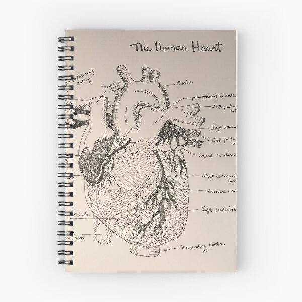 Item preview, The Human Heart designed and sold by ArtbyEhrlich.