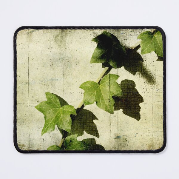 Item preview, Ivy designed and sold by Ellen Cotton.