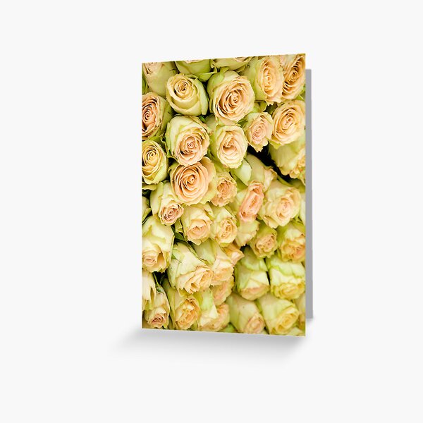 Roses Greeting Card