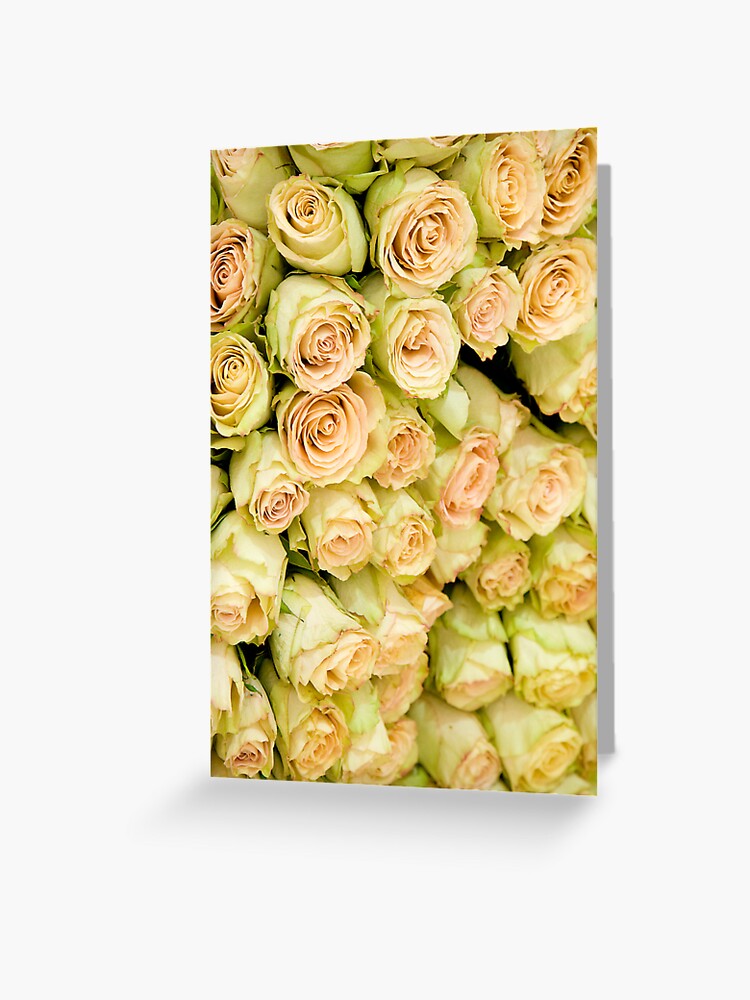 Thumbnail 1 of 2, Greeting Card, Roses designed and sold by GDPhotos.