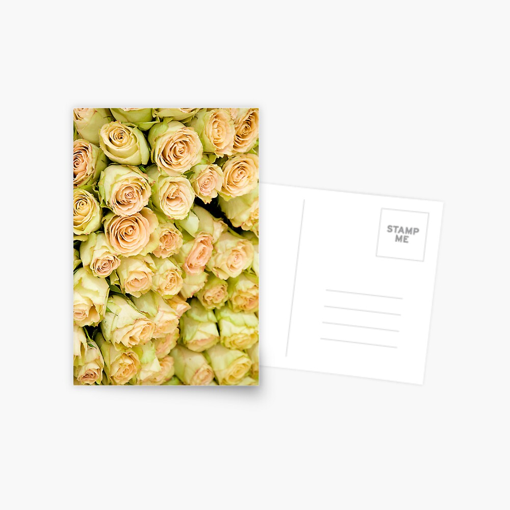 Item preview, Postcard designed and sold by GDPhotos.