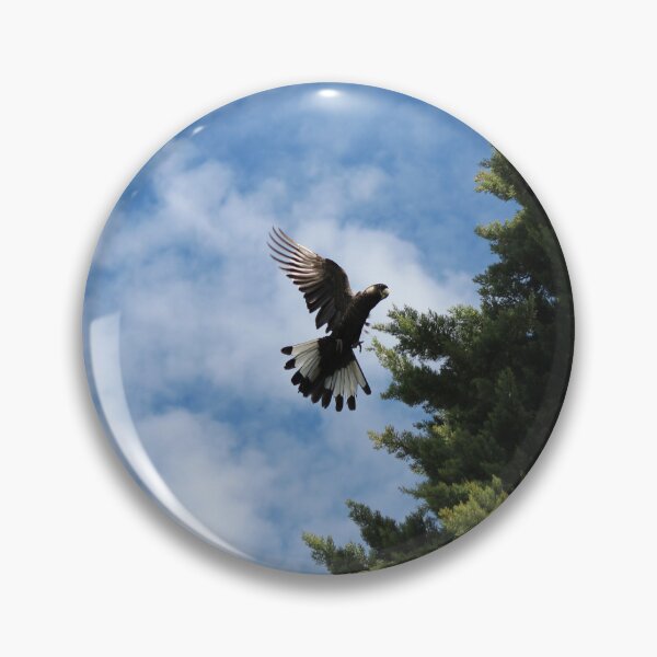 Item preview, Endangered Carnaby's Black Cockatoo #1 designed and sold by Marilyn Harris.