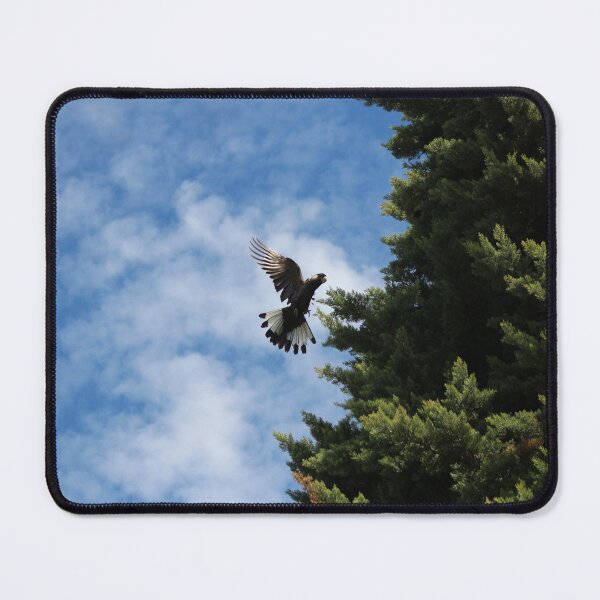 Item preview, Endangered Carnaby's Black Cockatoo #1 designed and sold by Marilyn Harris.