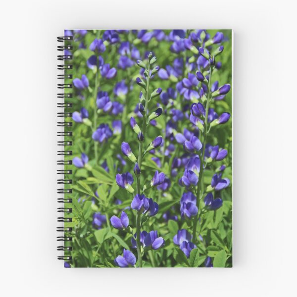 Item preview, Blue False Indigo- horizontal designed and sold by Michiale.