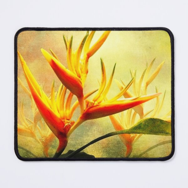 Item preview, Flames of Paradise designed and sold by Ellen Cotton.
