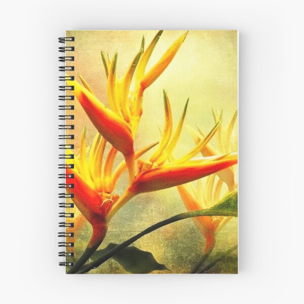 Item preview, Flames of Paradise designed and sold by Ellen Cotton.