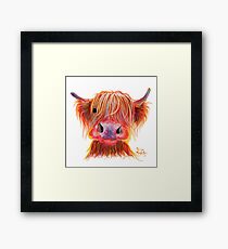Schottische Highland Haarige Kuh "CHILLI CHOPS" von Shirley MacArthur Gerahmtes Wandbild