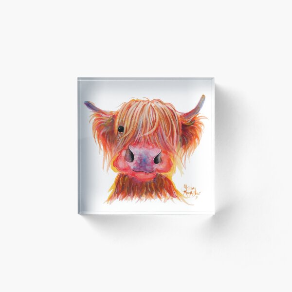 Scottish Highland Hairy Cow ' CHILLI CHOPS ' by Shirley MacArthur Acrylic Block