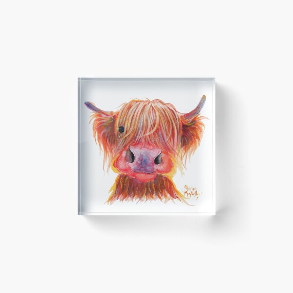 Scottish Highland Hairy Cow ' CHILLI CHOPS ' by Shirley MacArthur Acrylic Block