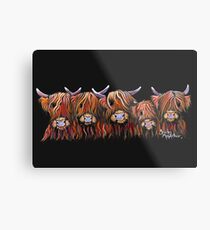 Scottish Highland Hairy Cows 'The Hairy Bunch of Coos' by Shirley MacArthur Metal Print